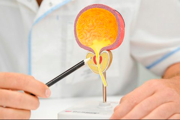 В РЯЗГМУ ОБСУДЯТ АКТУАЛЬНЫЕ ПРОБЛЕМЫ СОВРЕМЕННОЙ УРОЛОГИИ