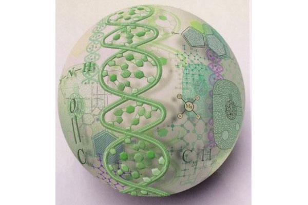 ПОДВЕДЕНЫ ИТОГИ ОЛИМПИАД ПО БИОЛОГИИ