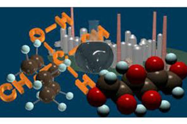 ВНУТРИВУЗОВСКАЯ ОЛИМПИАДА ПО БИООРГАНИЧЕСКОЙ ХИМИИ