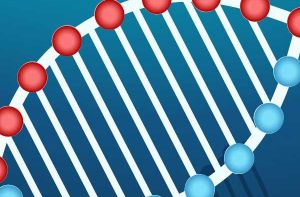 ВНИМАНИЮ УЧАСТНИКАМ ЗАКЛЮЧИТЕЛЬНОГО ЭТАПА ОТКРЫТОЙ ОЛИМПИАДЫ ШКОЛЬНИКОВ ПО БИОЛОГИИ