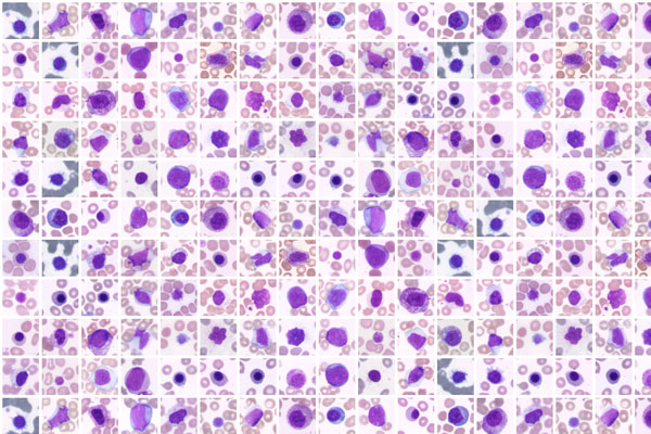 Лабиринты болезней