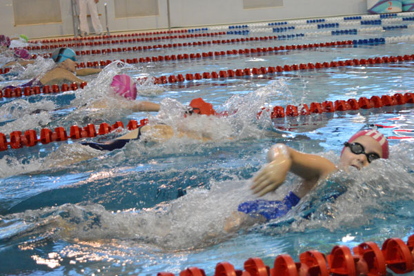 В «АКВАМЕДЕ» ПЛОВЦЫ ДЕТСКИХ СПОРТИВНЫХ ШКОЛ РЯЗАНИ БОРОЛИСЬ ЗА ПРАВО УЧАСТВОВАТЬ ВО ВСЕРОССИЙСКИХ СОРЕВНОВАНИЯХ «ВЕСЕЛЫЙ ДЕЛЬФИН»