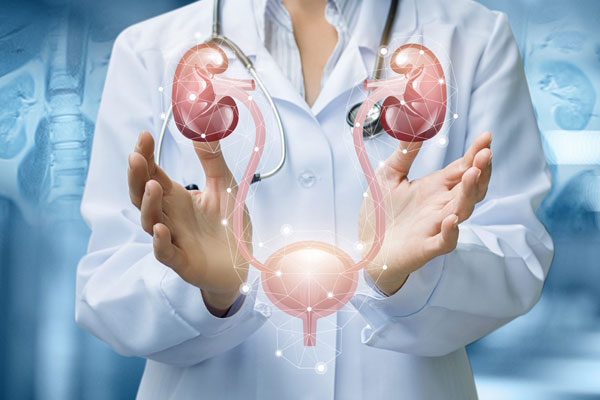 ПРИГЛАШАЕМ К УЧАСТИЮ В ОЛИМПИАДЕ ПО УРОЛОГИИ, АНДРОЛОГИИ