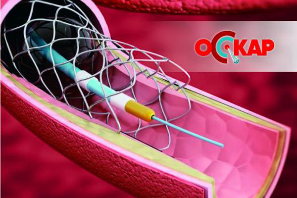 МАСТЕР-КЛАСС «ОПТИМИЗИРУЙТЕ СВОИ КОРОНАРНЫЕ ИНТЕРВЕНЦИИ»