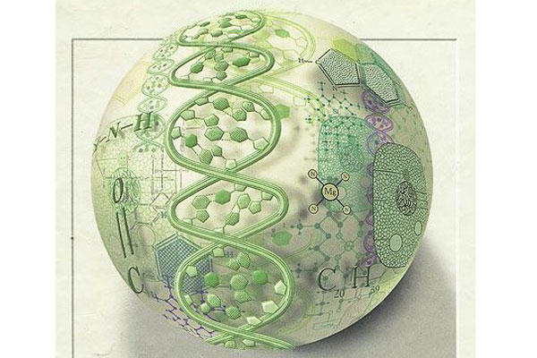 ВСЕРОССИЙСКАЯ КОНФЕРЕНЦИЯ «БИОЛОГИЯ В ВЫСШЕЙ ШКОЛЕ» ПРОЙДЁТ В УНИВЕРСИТЕТЕ