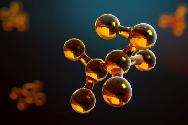 Итоги олимпиады по Биоорганической химии