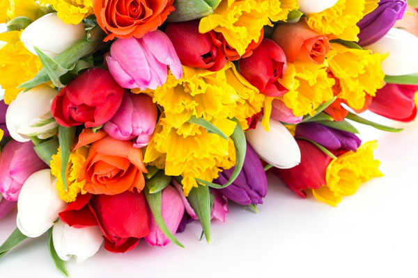 ПОЗДРАВЛЕНИЕ РЕКТОРА РЯЗГМУ, ПРОФЕССОРА РОМАНА ЕВГЕНЬЕВИЧА КАЛИНИНА С МЕЖДУНАРОДНЫМ ЖЕНСКИМ ДНЕМ