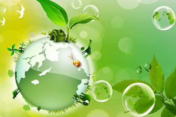 Вниманию участников открытой Олимпиады школьников по Биологии