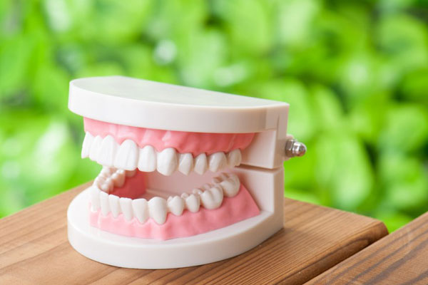 В РЯЗГМУ ПРОЙДЕТ МЕЖДУНАРОДНАЯ НАУЧНО-ПРАКТИЧЕСКАЯ КОНФЕРЕНЦИЯ «СОВРЕМЕННЫЕ ПОДХОДЫ К ПРОФИЛАКТИКЕ, ДИАГНОСТИКЕ И ЛЕЧЕНИЮ БОЛЕЗНЕЙ ВИСОЧНО-НИЖНЕЧЕЛЮСТНОГО СУСТАВА»