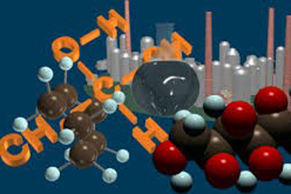 ПРИГЛАШАЕМ К УЧАСТИЮ В ОЛИМПИАДЕ ПО БИООРГАНИЧЕСКОЙ ХИМИИ