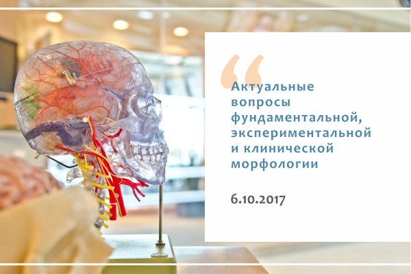 Всероссийская конференция молодых специалистов «Актуальные вопросы фундаментальной, экспериментальной  и клинической морфологии»