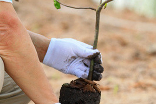 В РЯЗГМУ ПОЯВИТСЯ АЛЛЕЯ ДИНАСТИЙ МЕДИЦИНСКИХ РАБОТНИКОВ