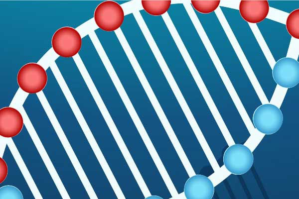 ВНИМАНИЮ УЧАСТНИКОВ ОТКРЫТОЙ ОЛИМПИАДЫ ШКОЛЬНИКОВ ПО БИОЛОГИИ