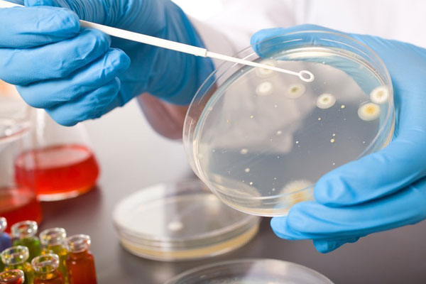 ПРИГЛАШАЕМ К УЧАСТИЮ В ОЛИМПИАДЕ ПО МИКРОБИОЛОГИИ И ВИРУСОЛОГИИ