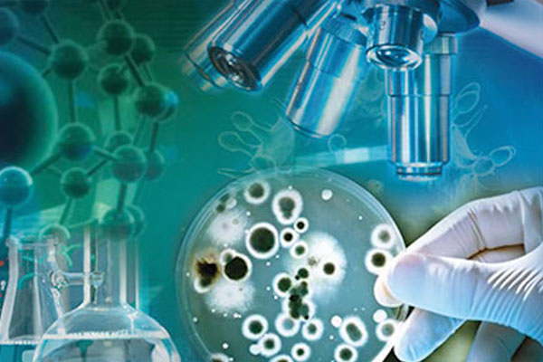 Международной научно-практической конференции «Фундаментальные и прикладные аспекты микробиологии в науке и образовании»