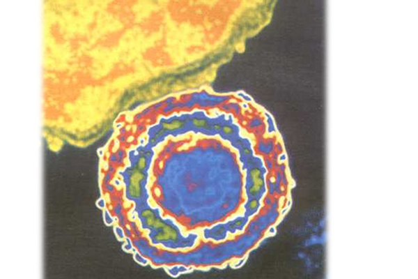 ПРИГЛАШАЕМ ПРИНЯТЬ УЧАСТИЕ В ОЛИМПИАДЕ ПО ДЕРМАТОВЕНЕРОЛОГИИ И ИНФЕКЦИОННЫМ БОЛЕЗНЯМ