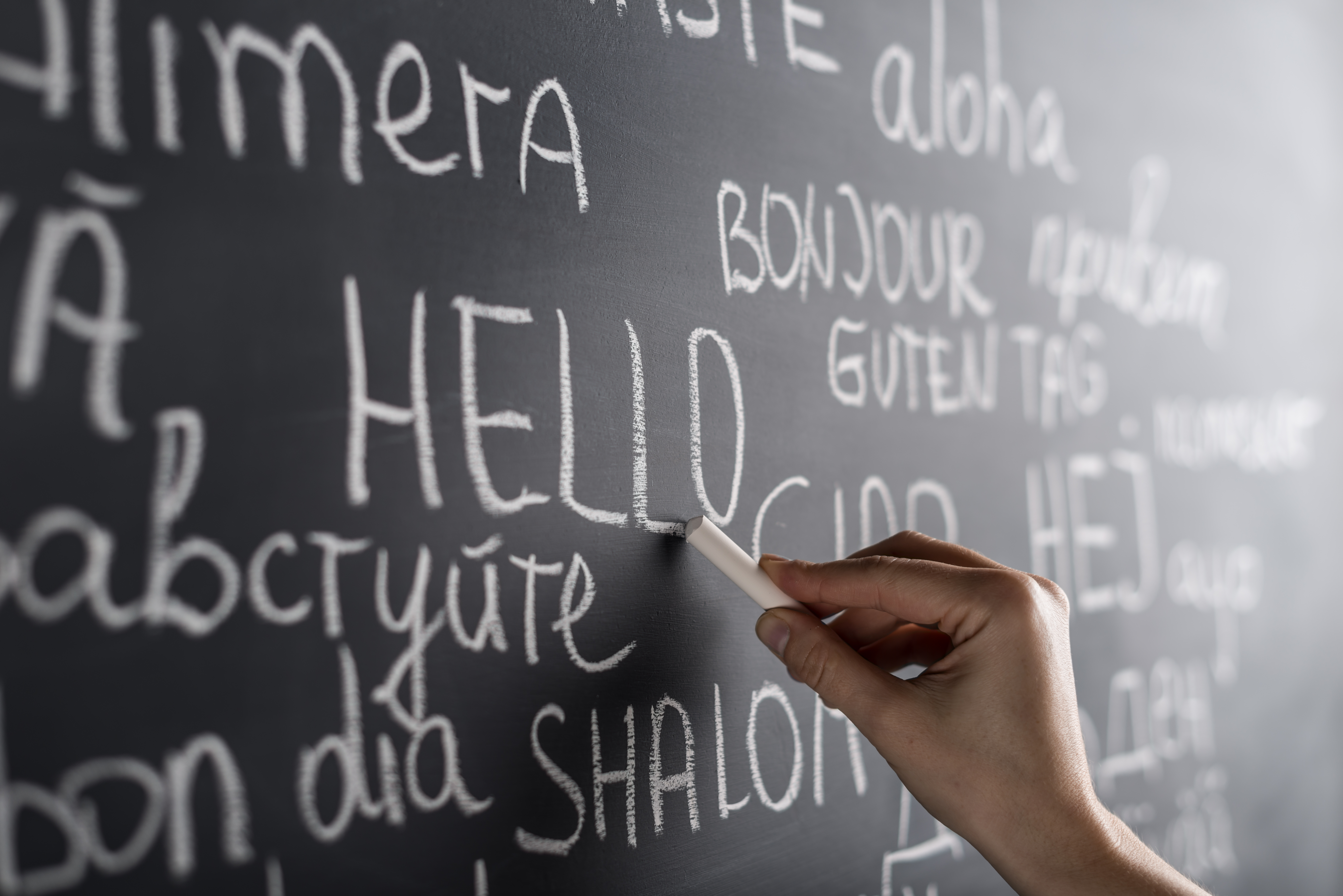 ПРИГЛАШАЕМ ПРОЙТИ ТЕСТИРОВАНИЕ НА КУРС «ПЕРЕВОДЧИК В СФЕРЕ ПРОФЕССИОНАЛЬНОЙ КОММУНИКАЦИИ»