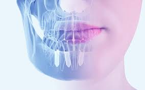 ПРИГЛАШАЕМ К УЧАСТИЮ В КОНФЕРЕНЦИИ