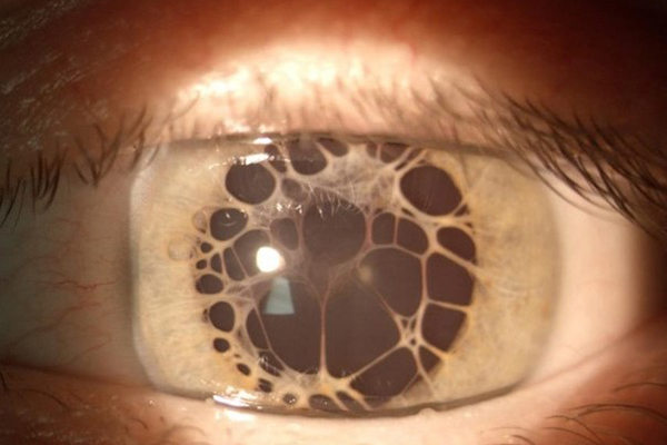 КОМАНДА РЯЗГМУ ПРИЗНАНА САМОЙ СТИЛЬНОЙ ПО ИТОГАМ ВСЕРОССИЙСКОЙ ОЛИМПИАДЫ ПО ПАТОЛОГИИ