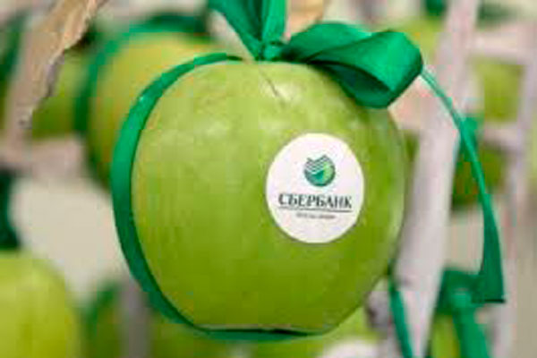 ЗАМЕНА ПЛАСТИКОВЫХ КАРТ СБЕРБАНКОМ