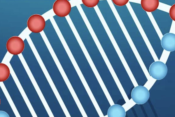 ПРОДОЛЖАЕТСЯ РЕГИСТРАЦИЯ НА ОТКРЫТЫЕ ОЛИМПИАДЫ ШКОЛЬНИКОВ ПО БИОЛОГИИ И ХИМИИ