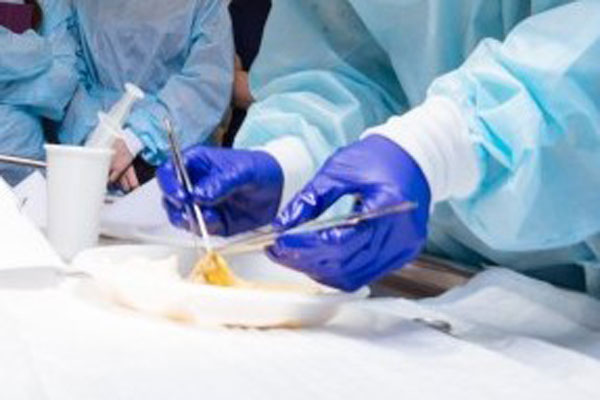 Олимпиада по топографической анатомии и оперативной хирургии 