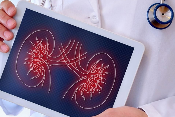 КОНФЕРЕНЦИЯ, ПОСВЯЩЕННАЯ ВСЕМИРНОМУ ДНЮ ПОЧКИ И 75-ЛЕТИЮ УНИВЕРСИТЕТА НА РЯЗАНСКОЙ ЗЕМЛЕ