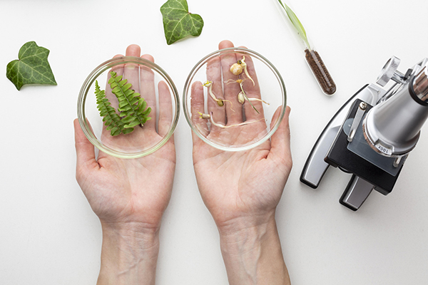 ПРИГЛАШАЕМ К УЧАСТИЮ ВО ВСЕРОССИЙСКОЙ КОНФЕРЕНЦИИ «ЕСТЕСТВЕННОНАУЧНЫЕ ОСНОВЫ МЕДИКО-БИОЛОГИЧЕСКИХ ЗНАНИЙ»