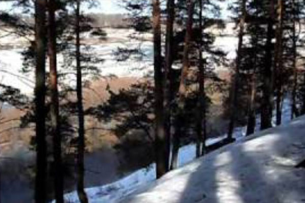 ЛЫЖНЯ РЯЗГМУ 