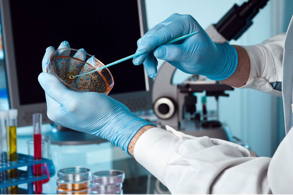 ОЛИМПИАДА ПО МИКРОБИОЛОГИИ