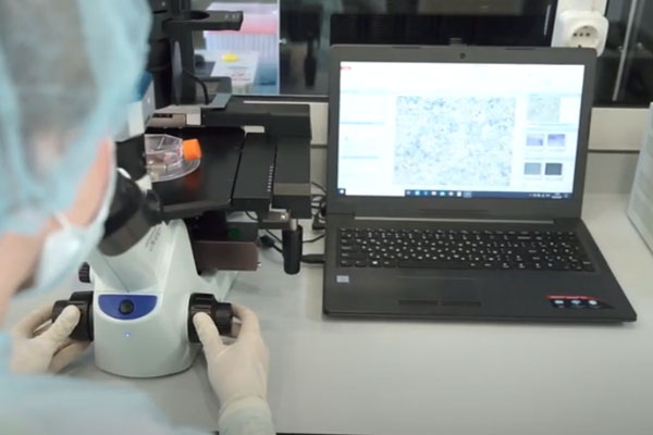 АКТУАЛЬНОЕ ИССЛЕДОВАНИЕ В ОБЛАСТИ СОСУДИСТОЙ ХИРУРГИИ ПРОВЕЛИ В РЯЗГМУ