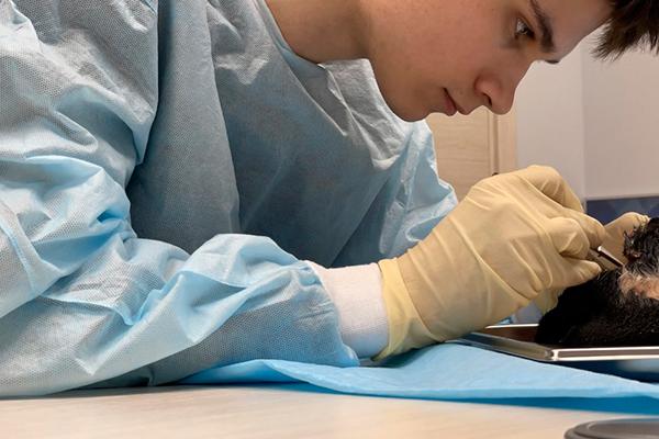 СТУДЕНТ РЯЗГМУ - ПОБЕДИТЕЛЬ ВСЕРОССИЙСКОЙ ОЛИМПИАДЫ ПО ХИРУРГИЧЕСКОЙ СТОМАТОЛОГИИ